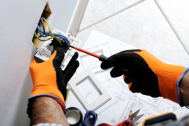 Professional Electrical Services in Lake Holiday, IL